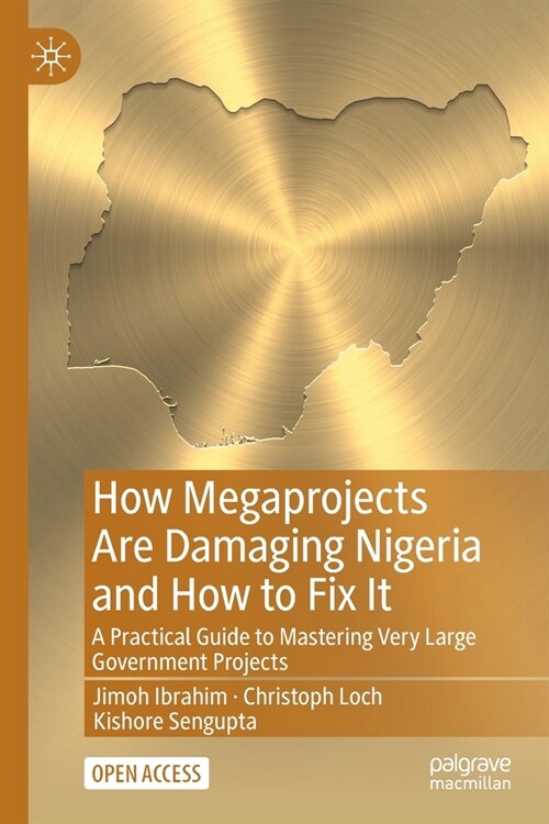 How Megaprojects Are Damaging Nigeria and How to Fix It: A Practical Guide to Mastering Very Large Government Projects (Paperback)