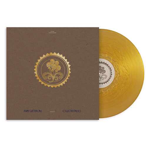 [수입] Mary Lattimore - Collected Pieces: 2015-2020 [Gold Ripple 2LP]