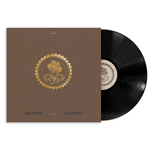 [수입] Mary Lattimore - Collected Pieces: 2015-2020 [2LP]