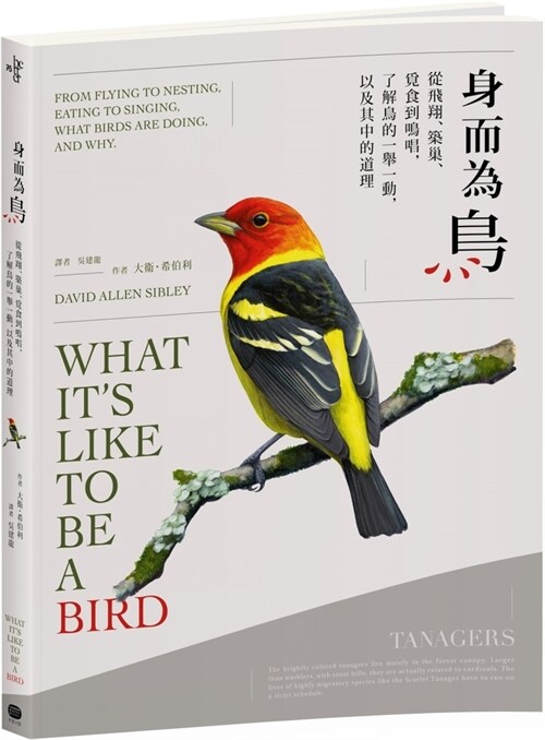 What Its Like to Be a Bird: From Flying to Nesting, Eating to Singing--What Birds Are Doing, and Why (Paperback)