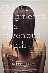 Twenty Fragments of a Ravenous Youth (Paperback)