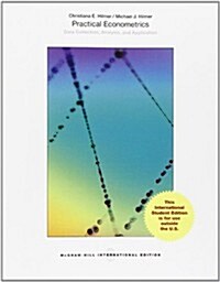 Econometrics (Paperback)