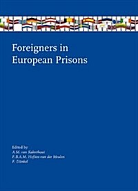 Foreigners in European Prisons (Paperback)