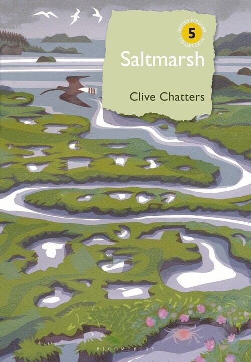 Saltmarsh (Hardcover)