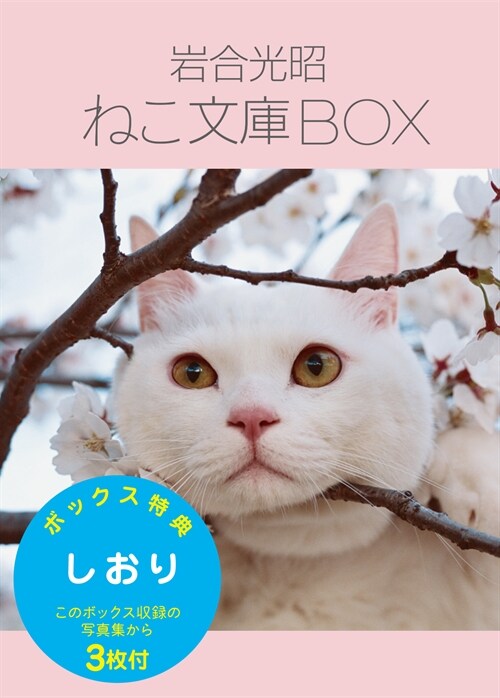 巖合光昭ねこ文庫BOX