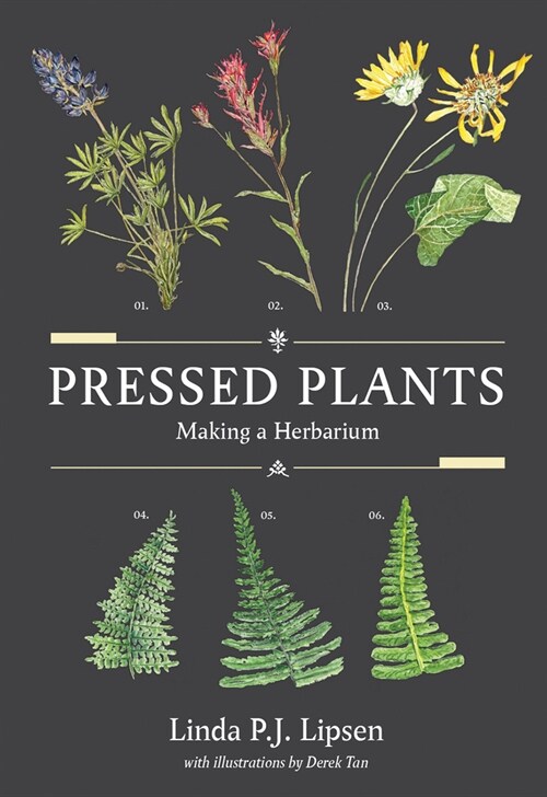 Pressed Plants: Making a Herbarium (Paperback)