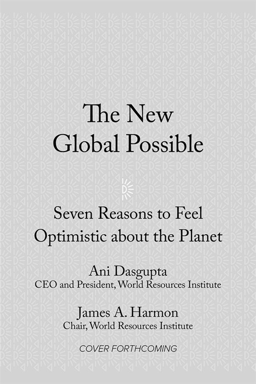 The New Global Possible: Evidence for Hope in the Fight for a Sustainable Future (Hardcover)