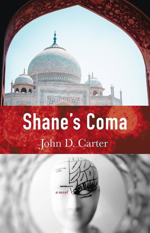 Shanes Coma (Paperback)