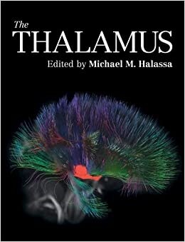 The Thalamus (Hardcover)