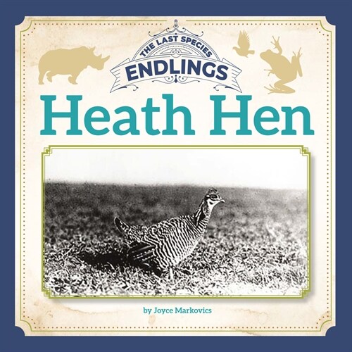 Heath Hen (Paperback)