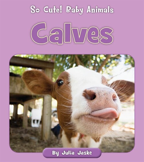 Calves (Paperback)