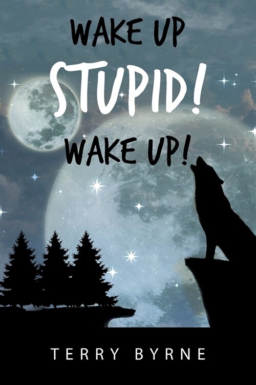 Wake up Stupid! Wake Up! (Paperback)