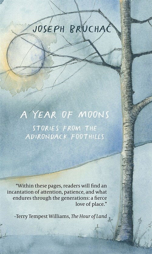 A Year of Moons: Stories from the Adirondack Foothills (Paperback)