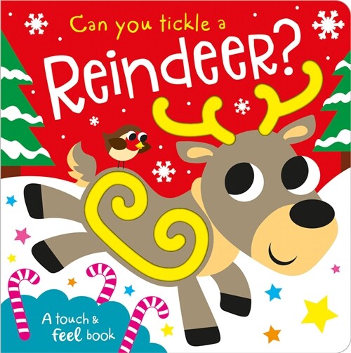 Can You Tickle a Reindeer? (Board Books)