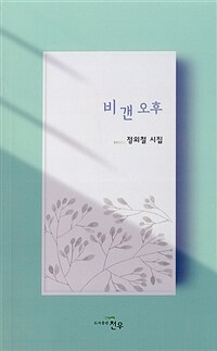 비 갠 오후 : 정외철 시집