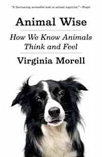 Animal Wise: How We Know Animals Think and Feel (Paperback)
