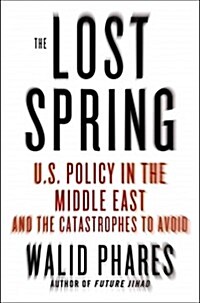 [중고] The Lost Spring : U.S. Policy in the Middle East and Catastrophes to Avoid (Hardcover)