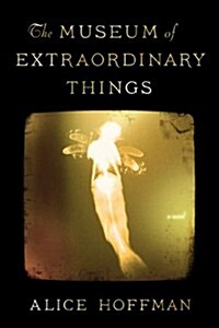 The Museum of Extraordinary Things (Hardcover)