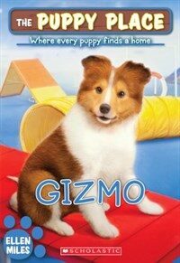 Gizmo (Paperback)