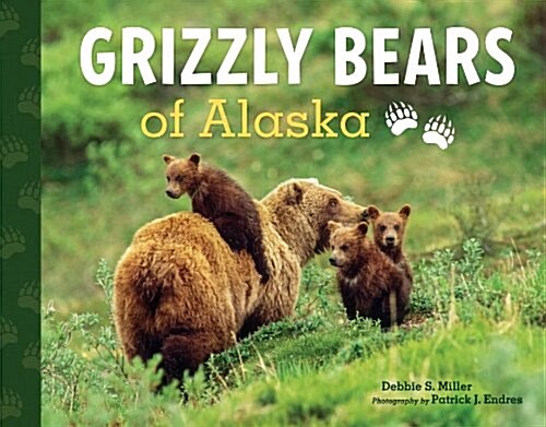 Grizzly Bears of Alaska: Explore the Wild World of Bears (Paperback)