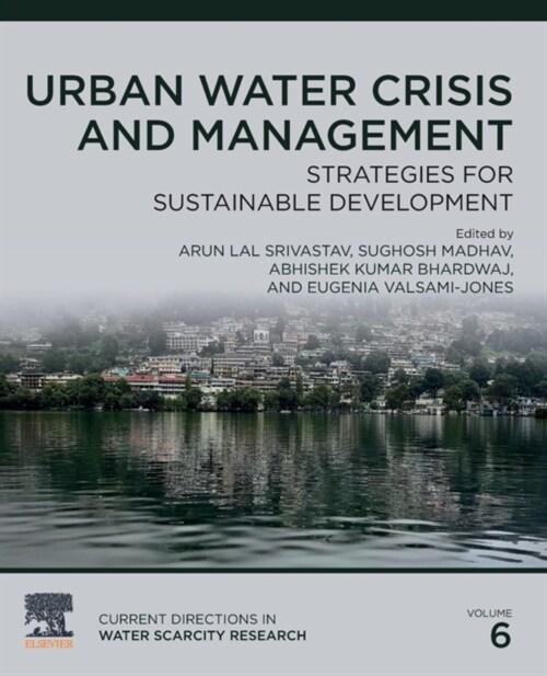 Urban Water Crisis and Management: Strategies for Sustainable Development Volume 6 (Paperback)