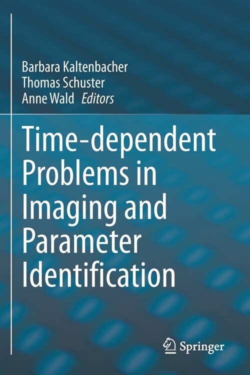 Time-dependent Problems in Imaging and Parameter Identification (Paperback)