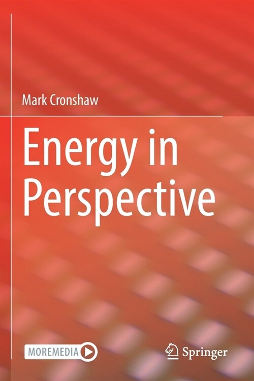 Energy in Perspective (Paperback)