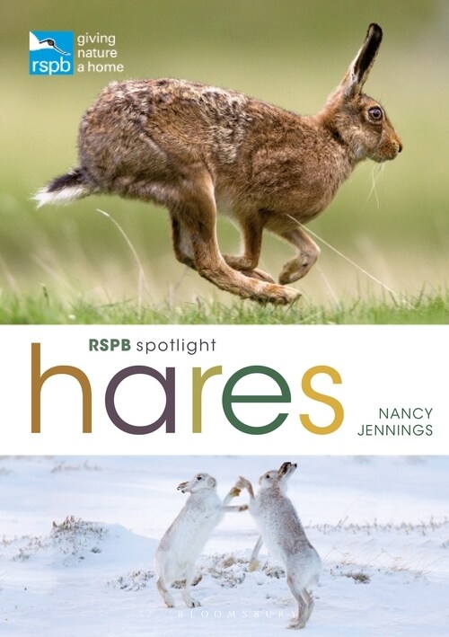 RSPB Spotlight Hares (Paperback)