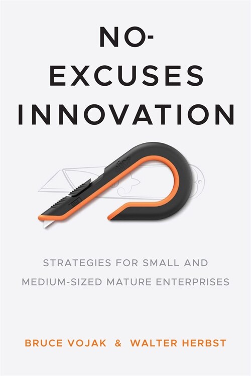 No-Excuses Innovation: Strategies for Small- And Medium-Sized Mature Enterprises (Hardcover)