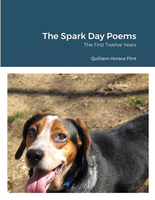 The Spark Day Poems: The First Twelve Years (Paperback)