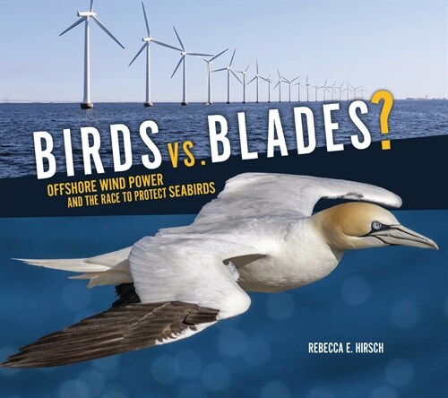 Birds vs. Blades?: Offshore Wind Power and the Race to Protect Seabirds (Paperback)