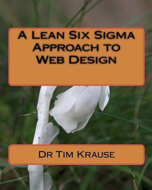 A Lean Six Sigma Approach to Web Design (Paperback)