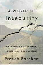 A World of Insecurity: Democratic Disenchantment in Rich and Poor Countries (Hardcover)