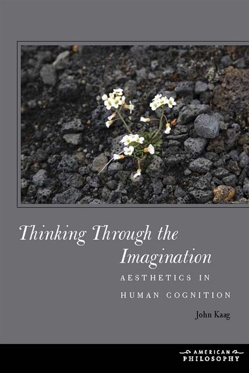 Thinking Through the Imagination: Aesthetics in Human Cognition (Paperback)