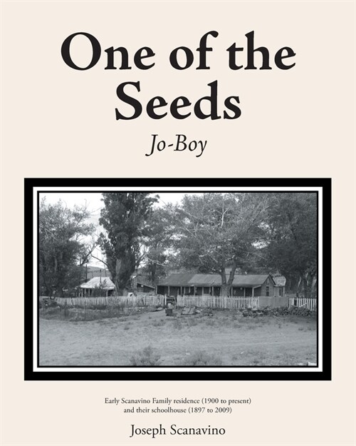 One of the Seeds: Jo-Boy (Paperback)