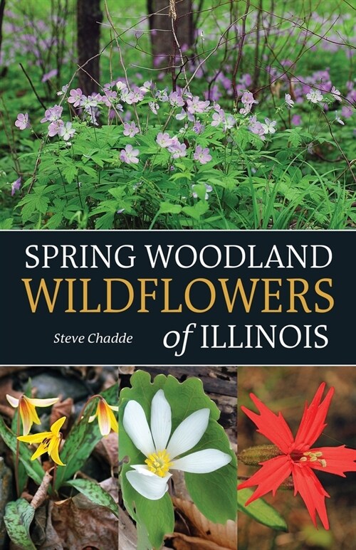 Spring Woodland Wildflowers of Illinois (Paperback)