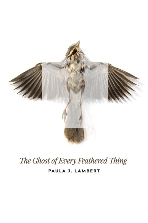 The Ghost of Every Feathered Thing (Paperback)