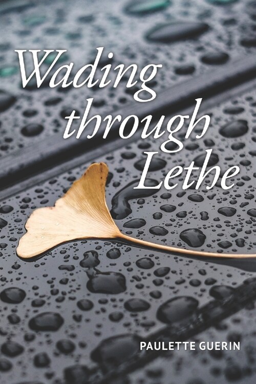 Wading through Lethe (Paperback)