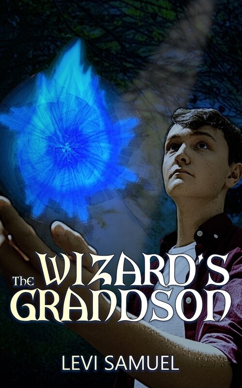 The Wizards Grandson (Paperback)