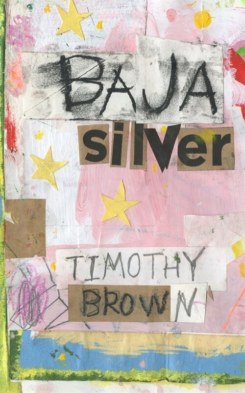 Baja Silver (Paperback)