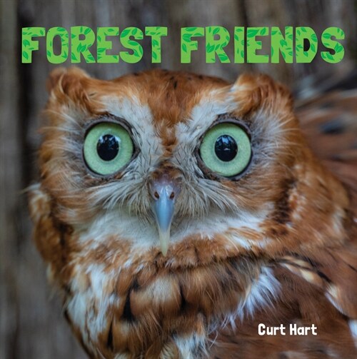 Forest Friends (Paperback)