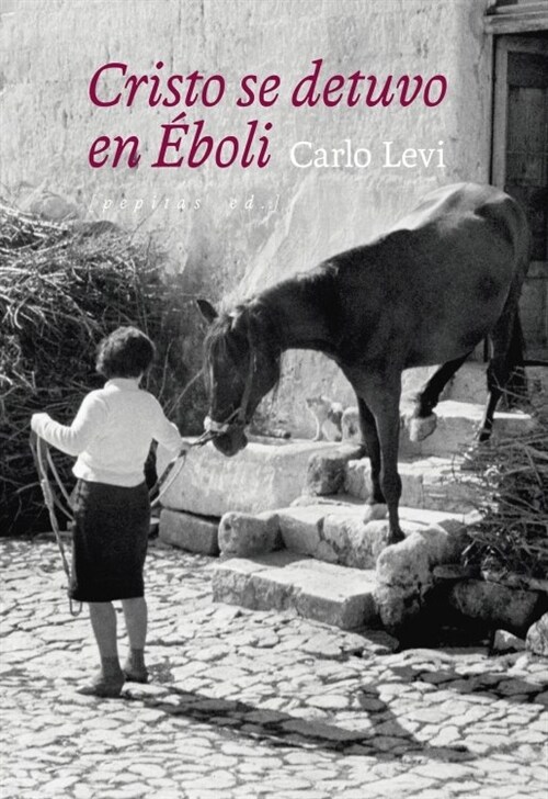 CRISTO SE DETUVO EN EBOLI (Paperback)