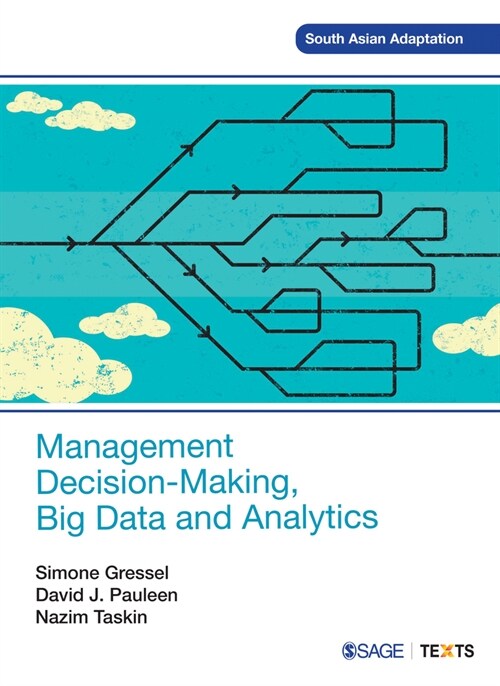 Management Decision-Making, Big Data and Analytics (Paperback)