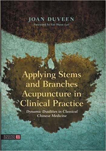 Applying Stems and Branches Acupuncture in Clinical Practice : Dynamic Dualities in Classical Chinese Medicine (Hardcover)