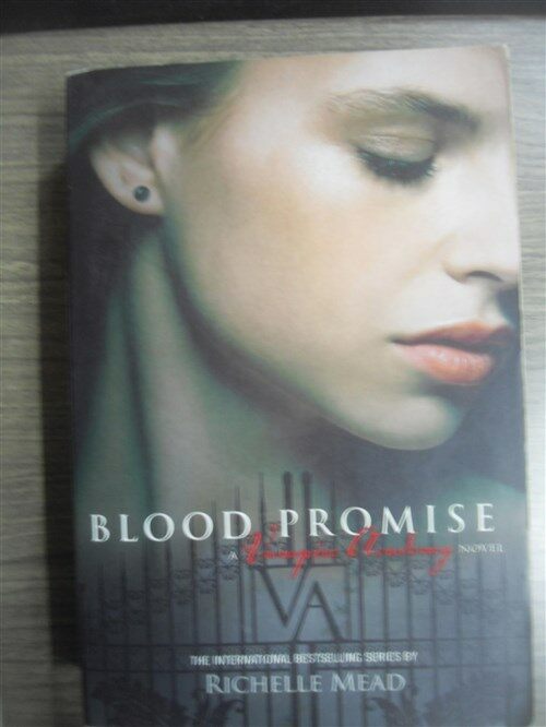 [중고] Blood Promise (Paperback)