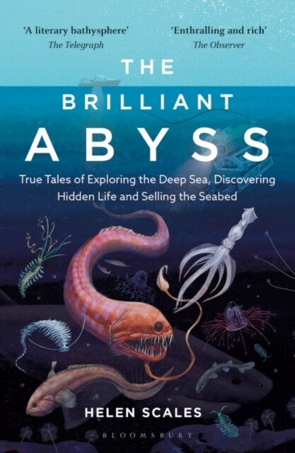 The Brilliant Abyss : True Tales of Exploring the Deep Sea, Discovering Hidden Life and Selling the Seabed (Paperback)