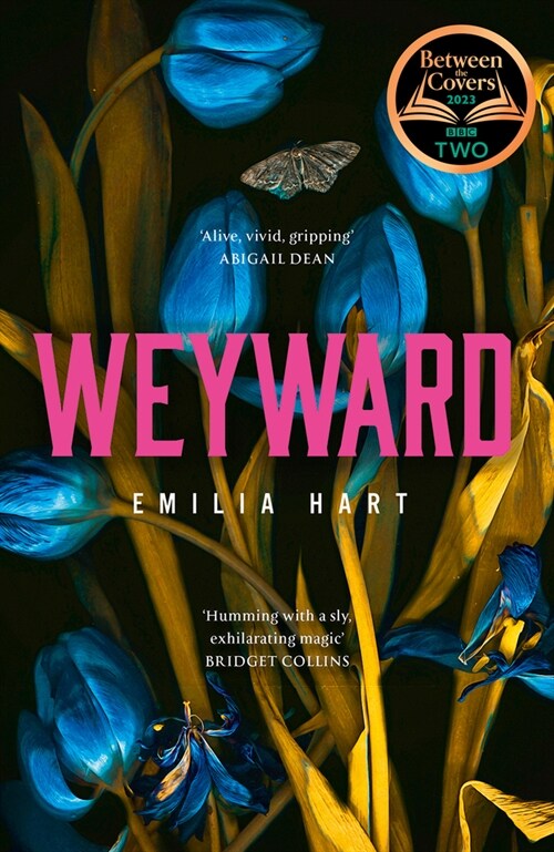 Weyward (Hardcover)