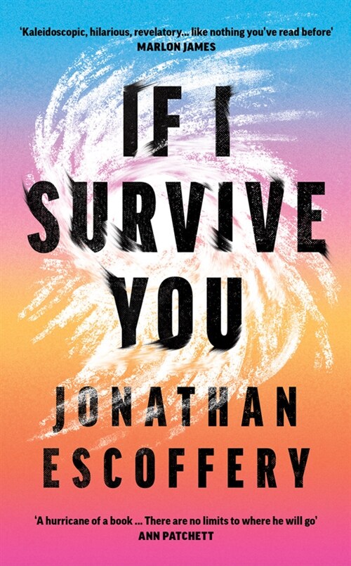 If I Survive You (Paperback)