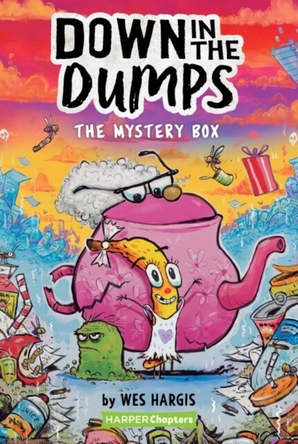 Down in the Dumps #1: The Mystery Box (Paperback)