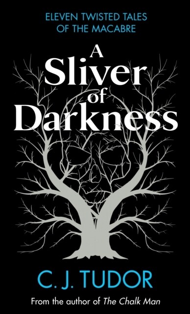 A Sliver of Darkness (Hardcover)